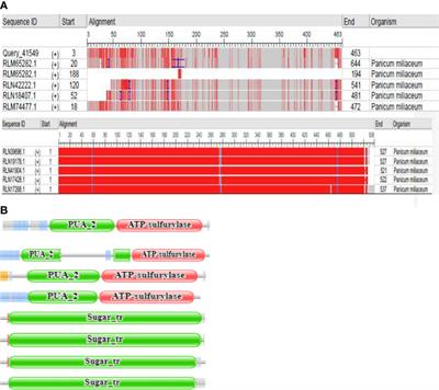 Selenate and selenite transporters in proso millet: Genome extensive detection and expression studies under salt stress and selenium